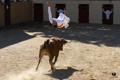 Course landaise