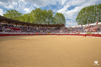2019-05-01-7084.jpg