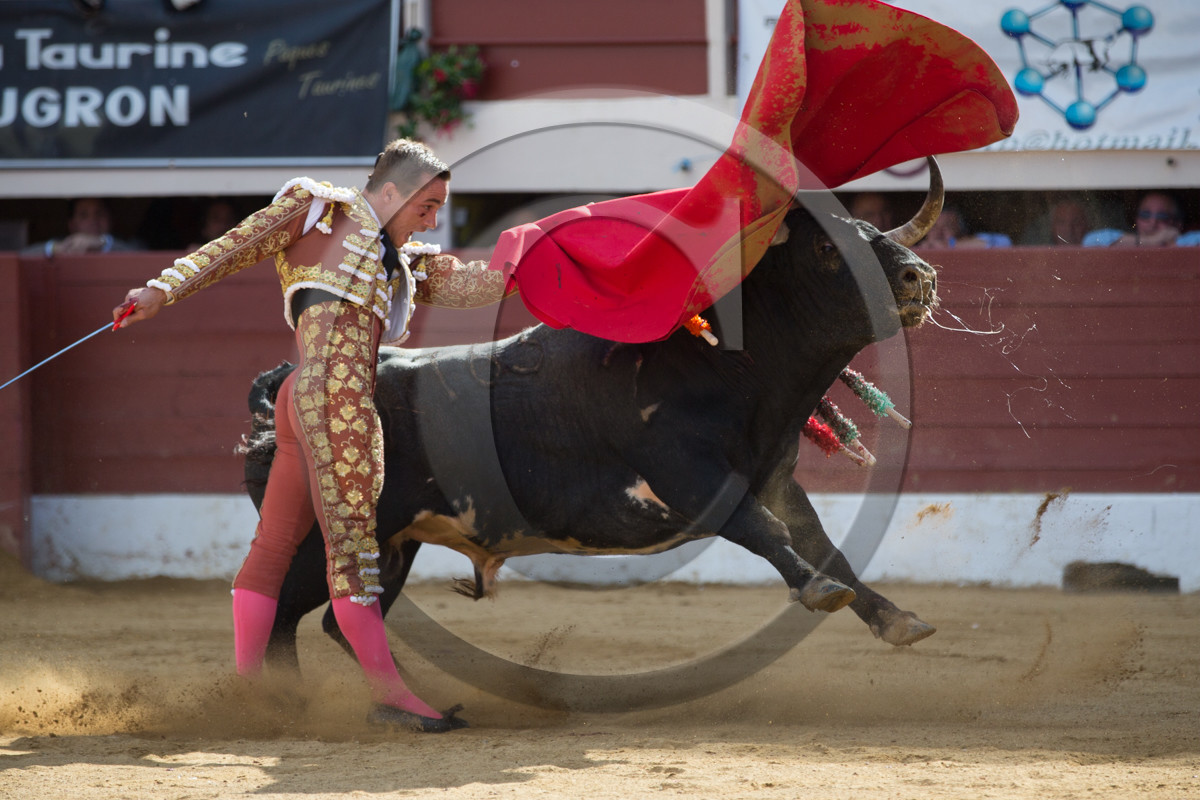 corrida, toro, vic fezensac, alcurrucen, michelito, morenito de aranda