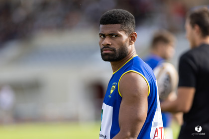 Stade Montois Rugby - Section Paloise