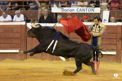 Corrida de Villeneuve-de-Marsan