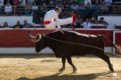 Nogaro Championnat de France de course landaise 2022