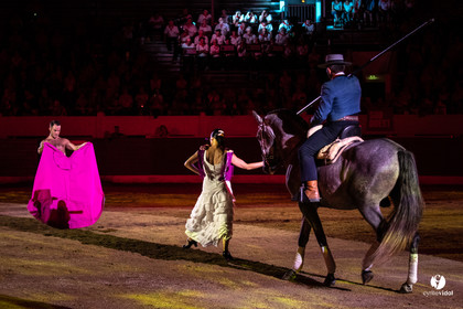 Landes émotions à Aire-sur-l'Adour