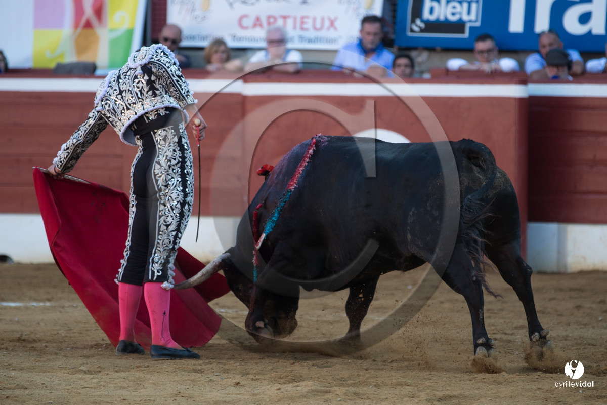 Mont-de-Marsan corrida de Dolores Aguirre pour Octavio Chacon - Pepe Moral - Juan Léal