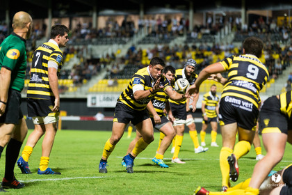 Rugby Stade Montois - Massy