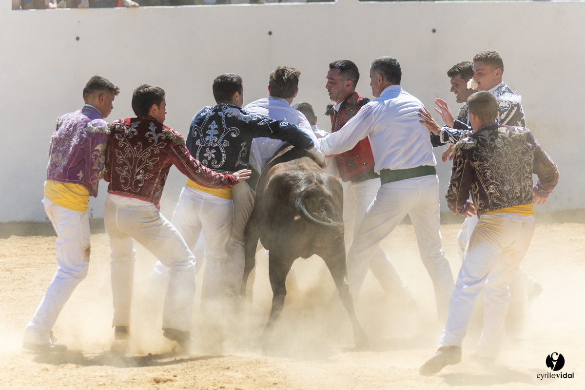 Saint-Cricq Chalosse course landaise de promotion Ganadéria Deyris Cuadrilla Jérémy Lafitte