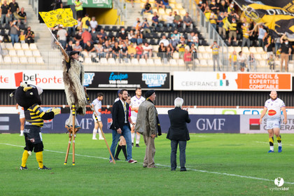 Stade Montois Rugby - Bourg en Bresse