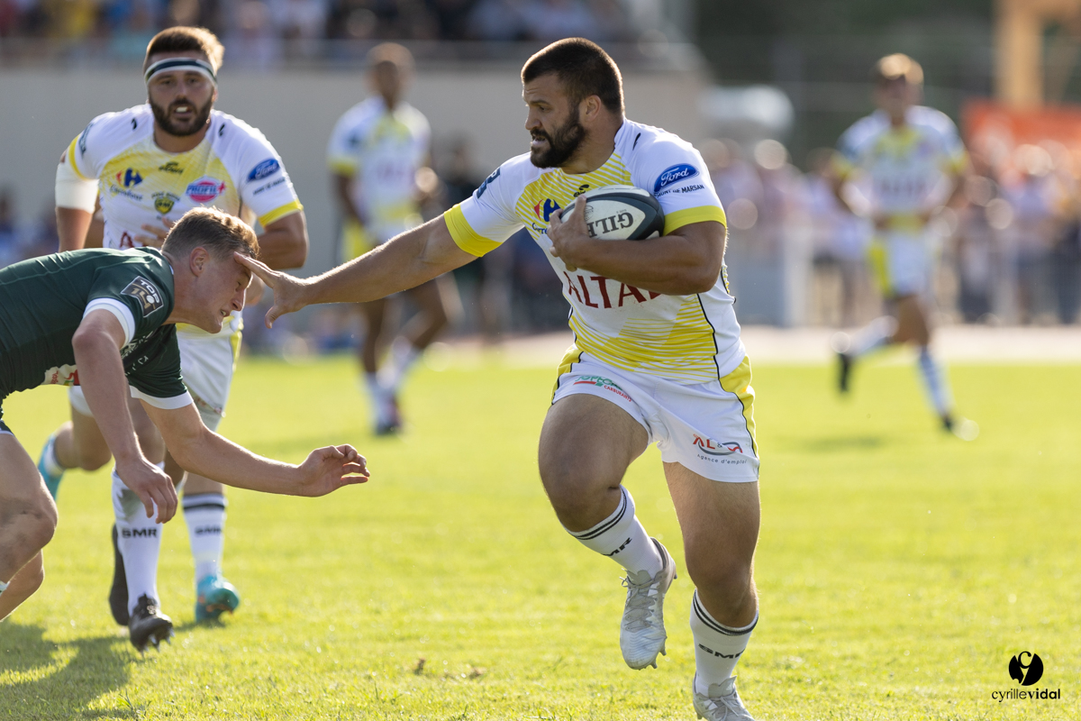 Stade Montois Rugby - Section Paloise