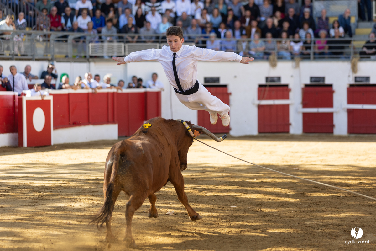 Nogaro Championnat de France de course landaise 2022