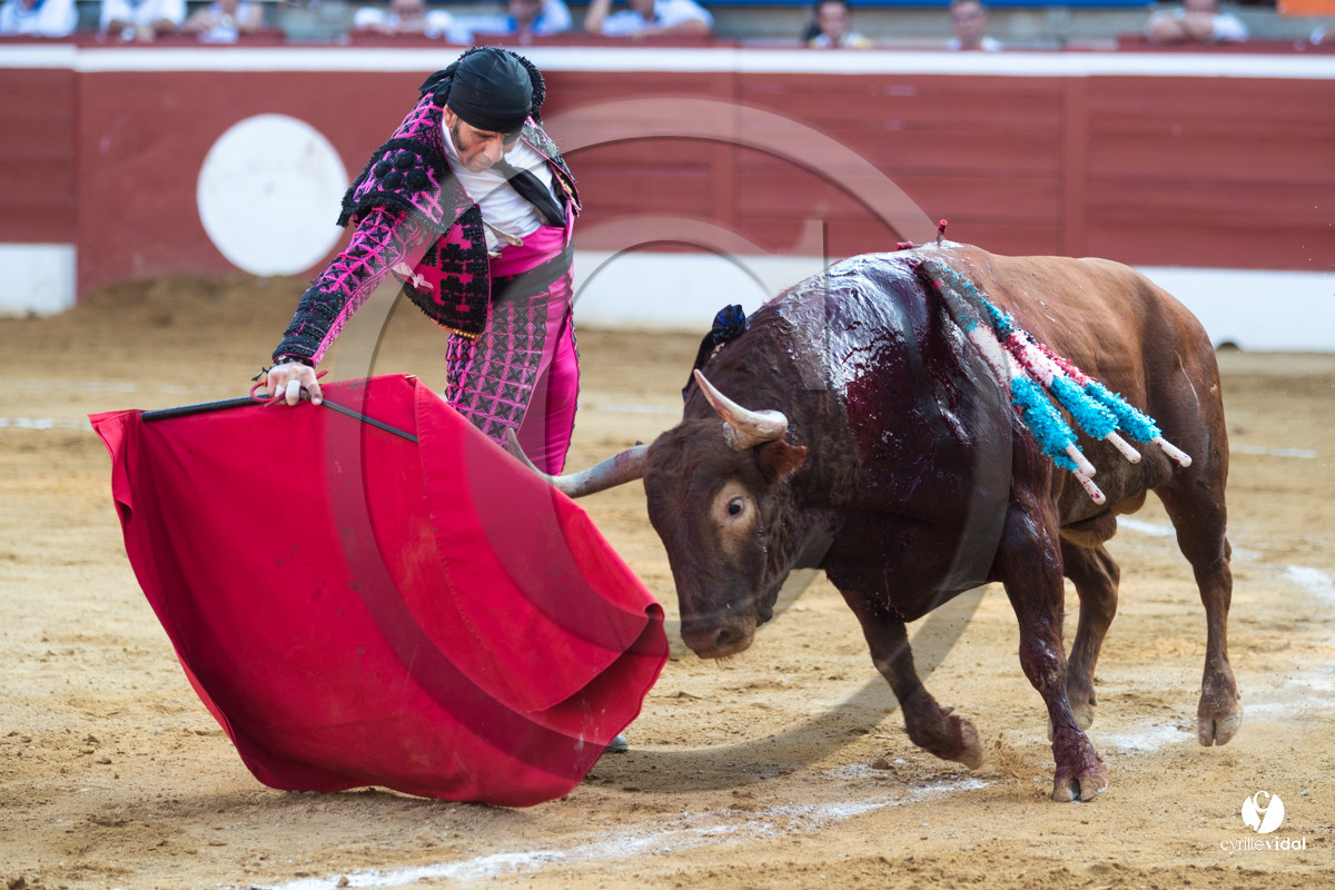Mont-de-Marsan corrida de Jandilla pour Padilla - Talavante - Roca Rey