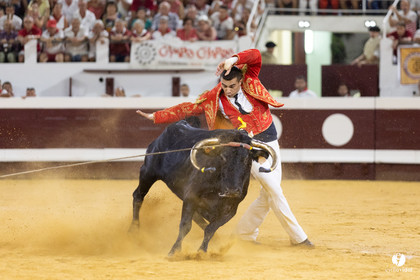 Dax concours landais 2022