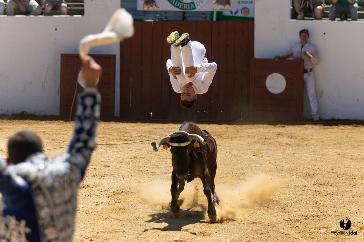 Saint-Cricq Chalosse course landaise de promotion Ganadéria Deyris Cuadrilla Jérémy Lafitte