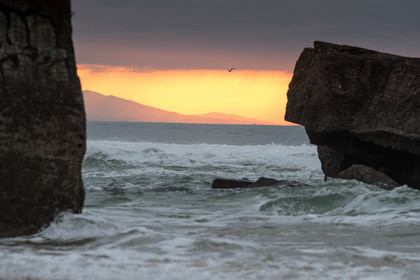 Paysages des Landes
