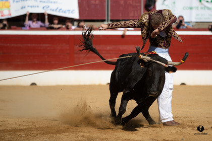 Mont-de-Marsan championnat de France de course landaise 2019