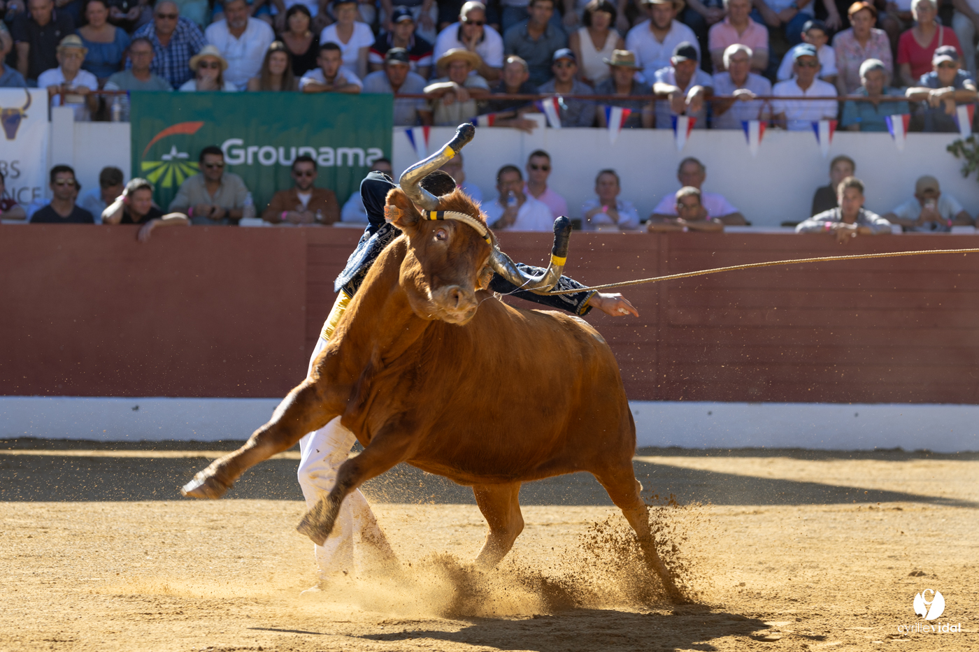 Aire-sur-l'Adour Championnat de France de course landaise 2023