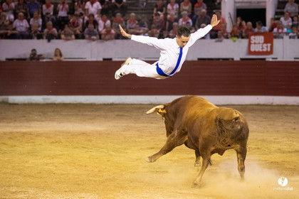 Landes émotions à Aire-sur-l'Adour
