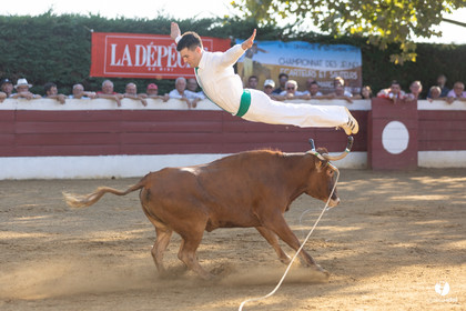 2022-08-28-2556.jpg