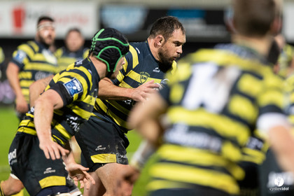 Stade Montois Rugby - Carcassonne