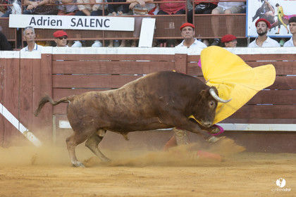 Corrida de Villeneuve-de-Marsan