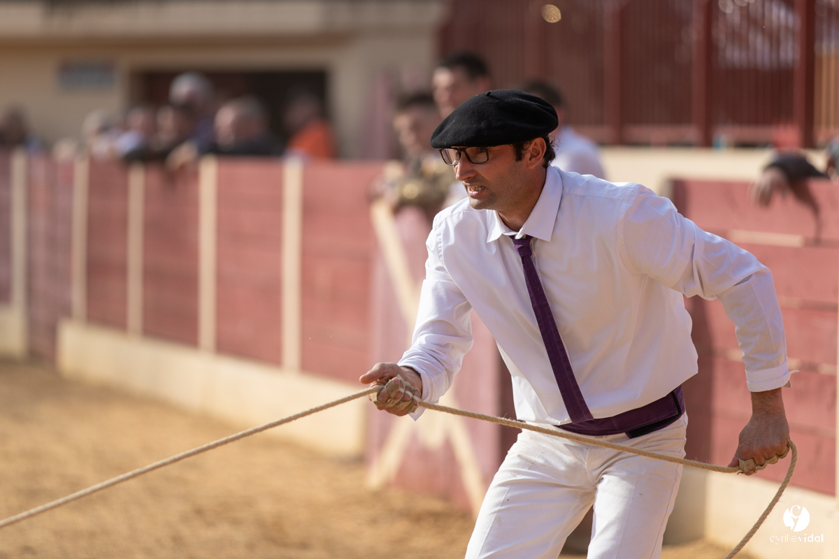 Course landaise Le Houga Ganadéria Dussau Cuadrilla Alexandre Brethes