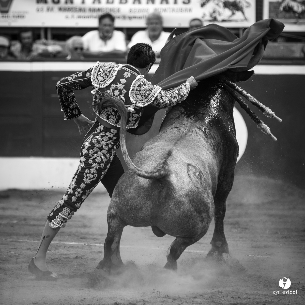 Mont-de-Marsan corrida d'Adolfo Martin
