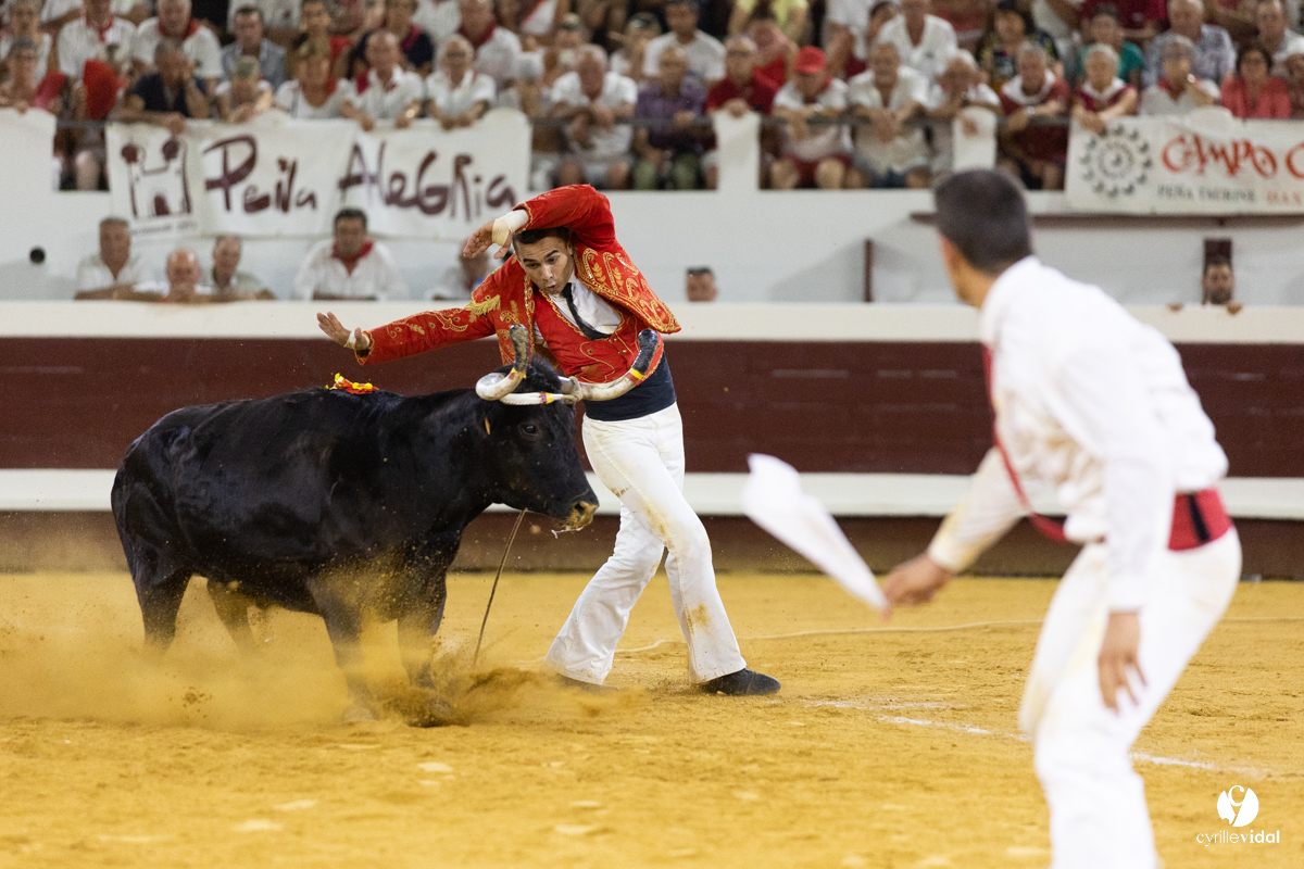Dax concours landais 2022