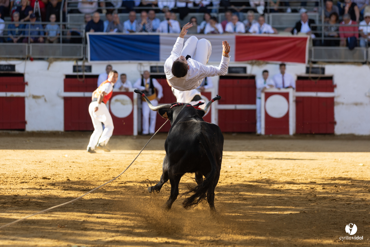 Nogaro Championnat de France de course landaise 2022