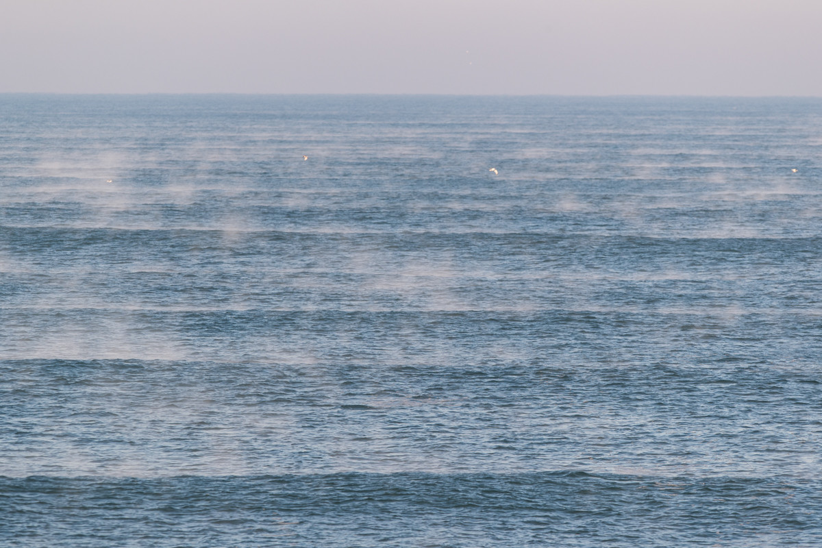 Paysages des Landes