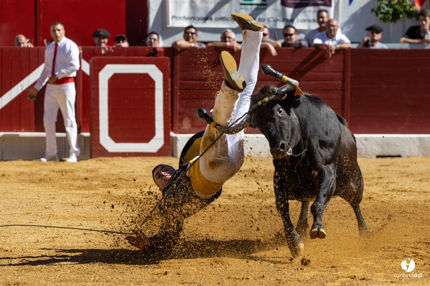 Aire-sur-l'Adour Championnat de France de course landaise 2023