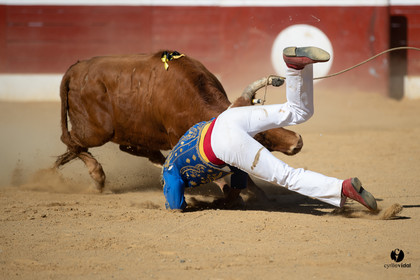 Mont-de-Marsan championnat de France de course landaise 2019