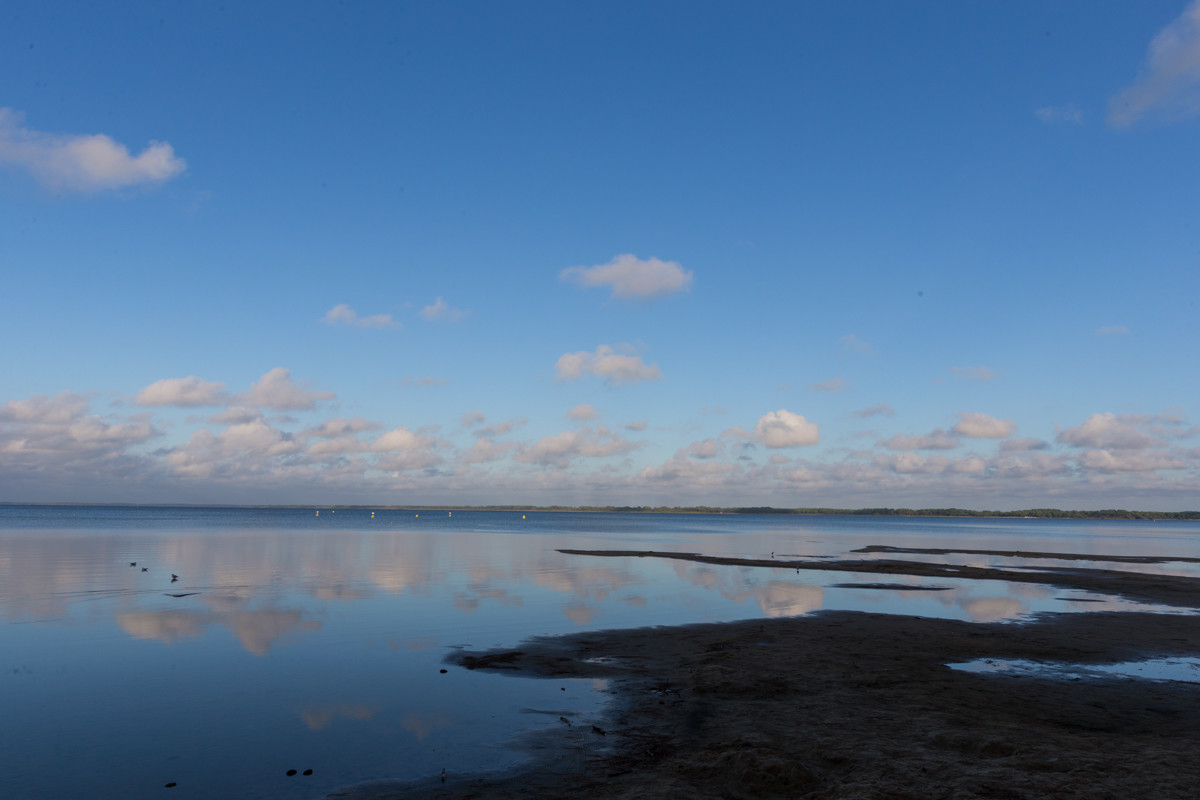 Paysages des Landes