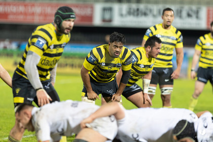 Stade Montois Rugby - Provence
