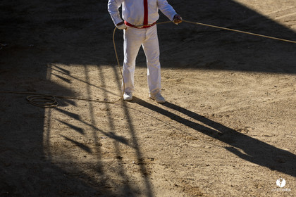 Course landaise