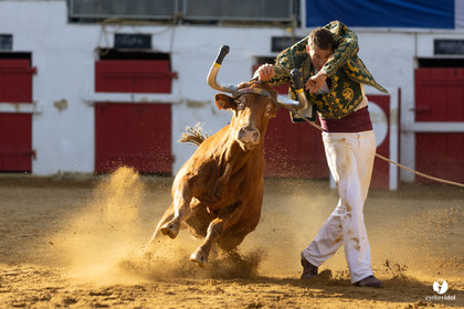 Nogaro Championnat de France de course landaise 2022