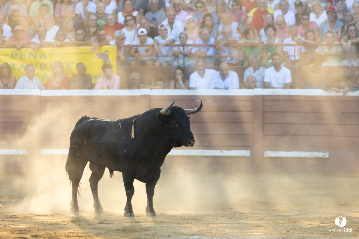 Corrida de Villeneuve-de-Marsan
