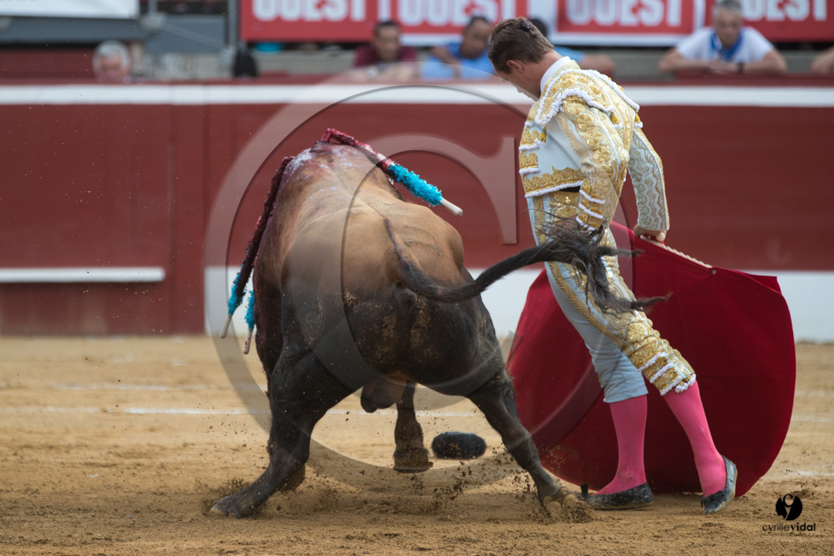 Mont-de-Marsan corrida de Garcigrande pour El Juli et Juan Bautista