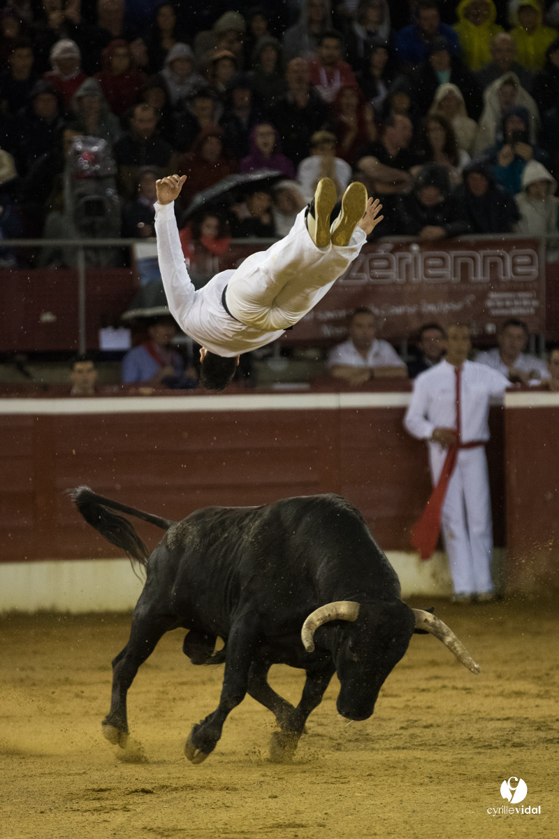 Mont-de-Marsan festival Art et Courage