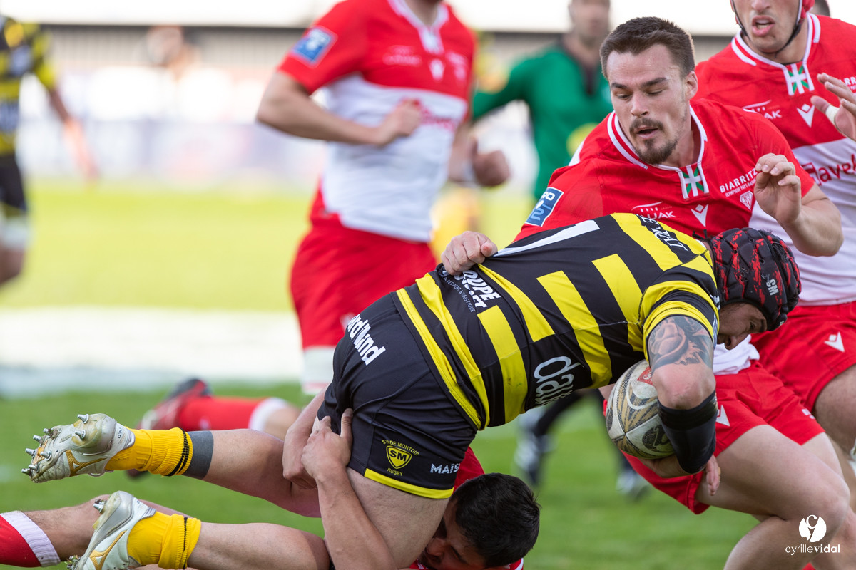 Stade Montois Rugby - Biarritz