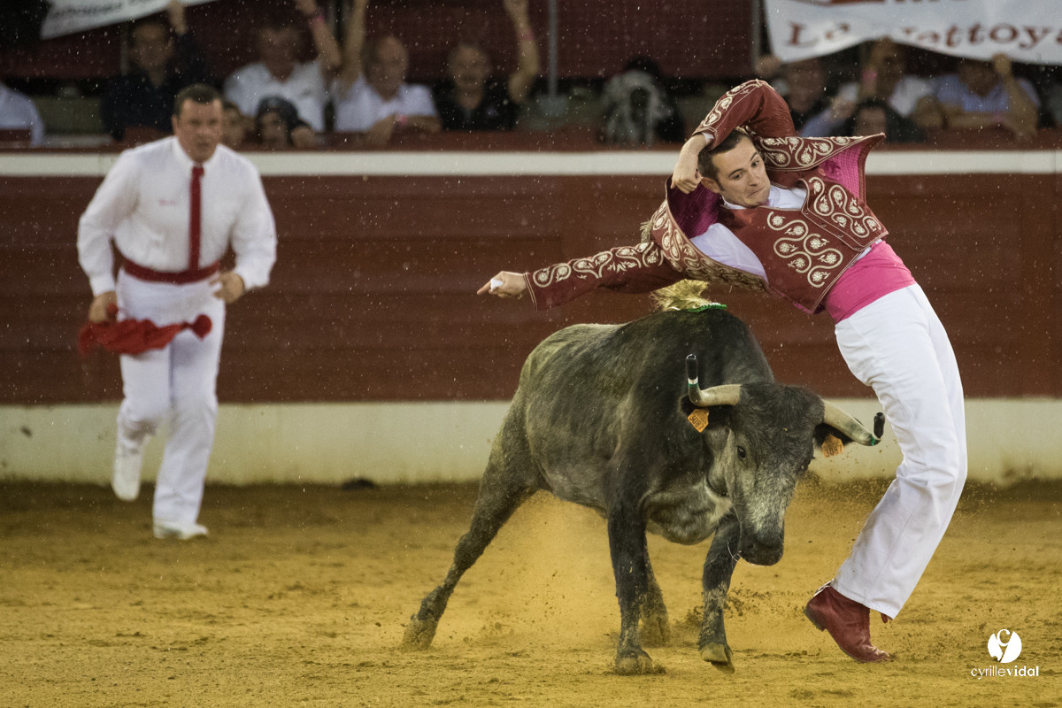 Mont-de-Marsan festival Art et Courage