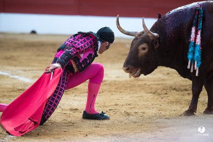 Mont-de-Marsan corrida de Jandilla pour Padilla - Talavante - Roca Rey