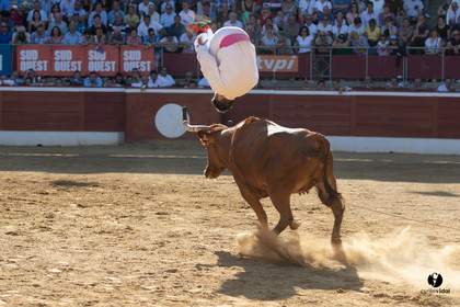 Mont-de-Marsan championnat de France de course landaise 2019