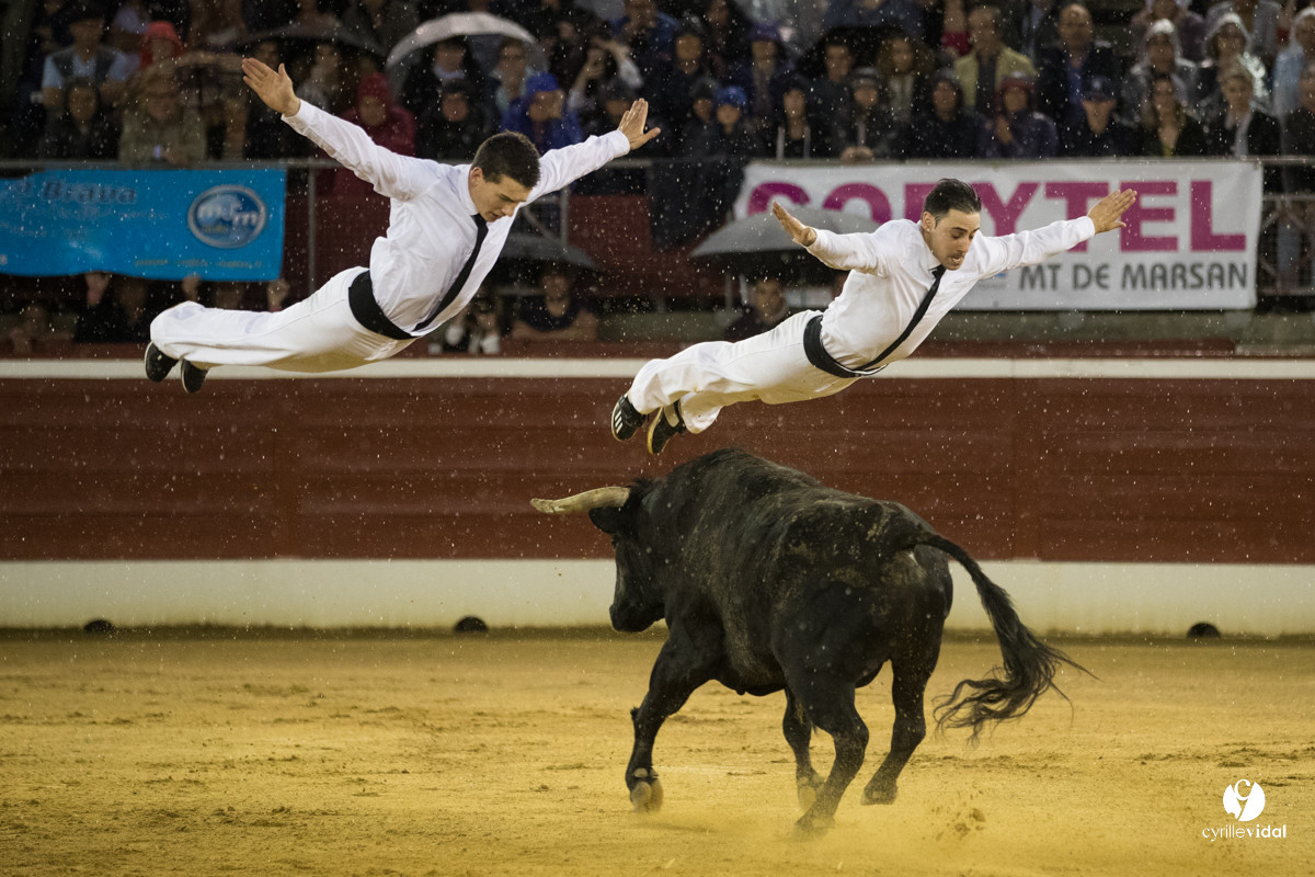 Mont-de-Marsan festival Art et Courage