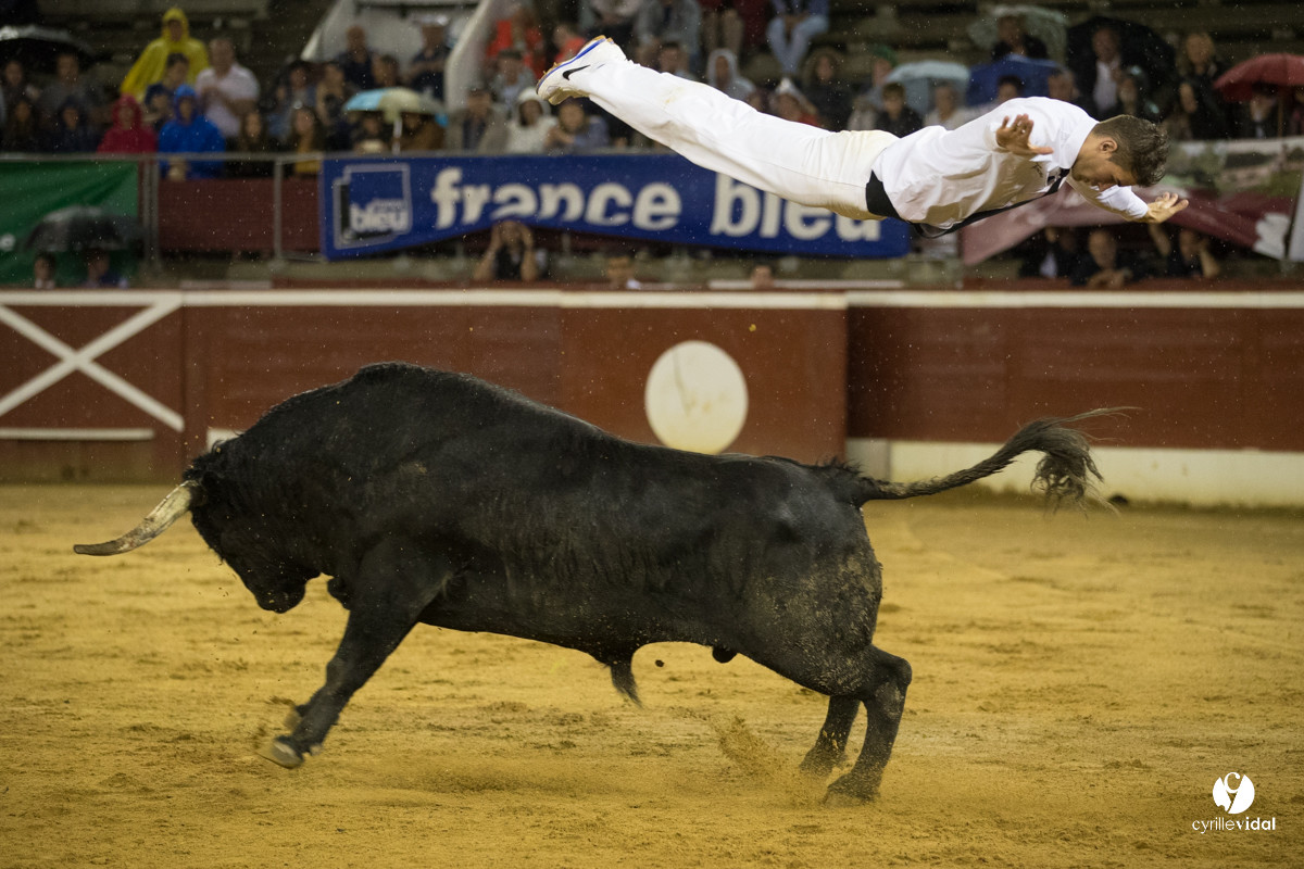 Mont-de-Marsan festival Art et Courage