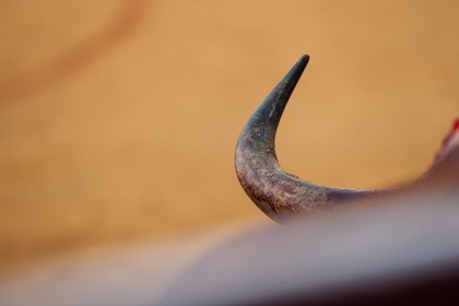 2012-09-09-2193.jpg