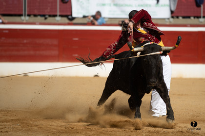 Mont-de-Marsan championnat de France de course landaise 2019