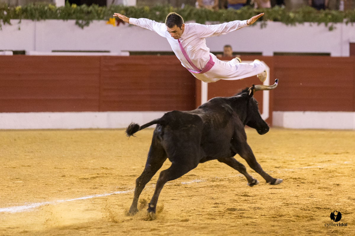 Aire sur l'Adour course landaise génération Aturine