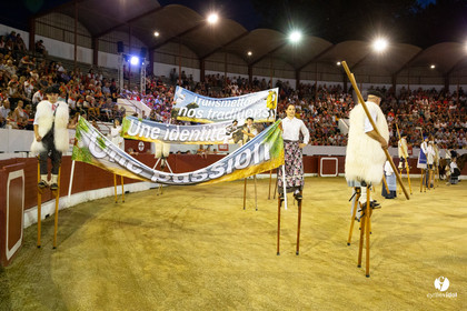 Landes émotions à Aire-sur-l'Adour