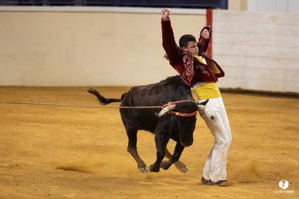 Horsarrieu course landaise du boléro d'Argent