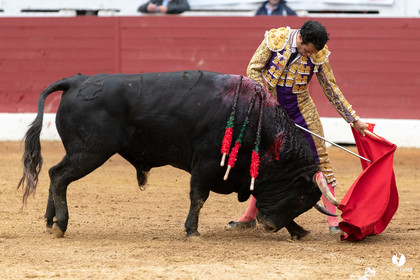 Corrida d'Aire sur l'Adour