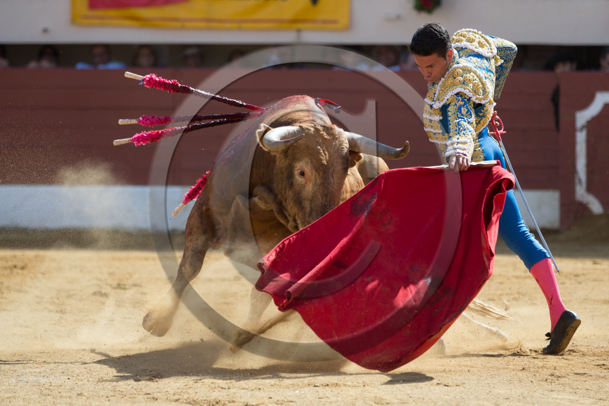 corrida, toro, vic fezensac, alcurrucen, michelito, morenito de aranda